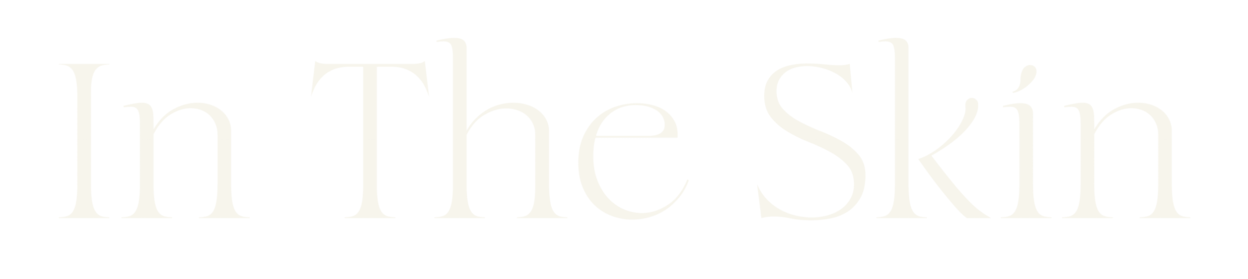 InTheSkin - logo temp